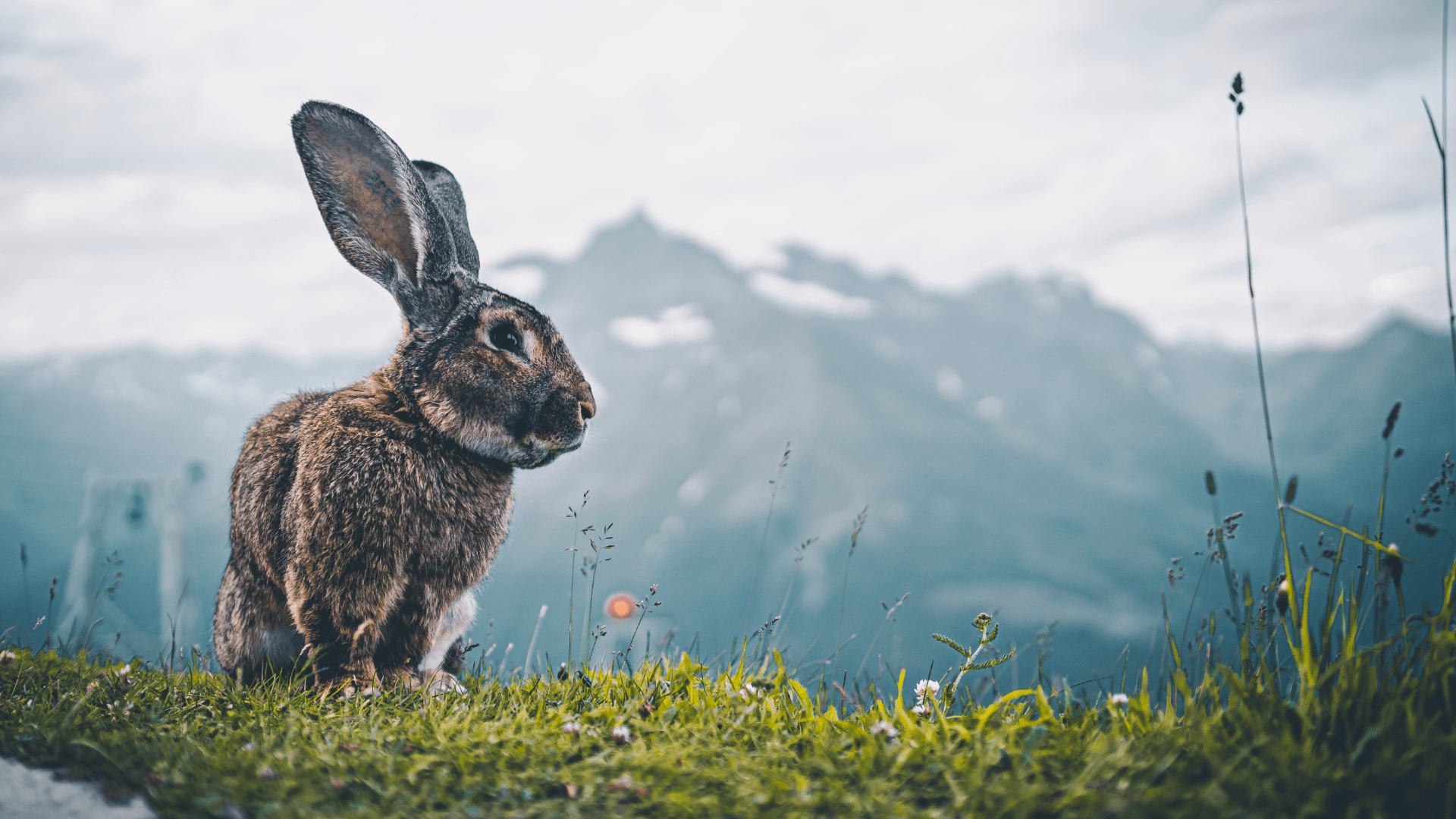 (Foto: AdobeStock/Ivan)