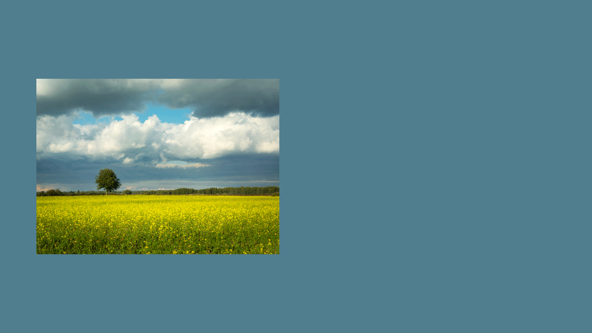 Sommer-Special