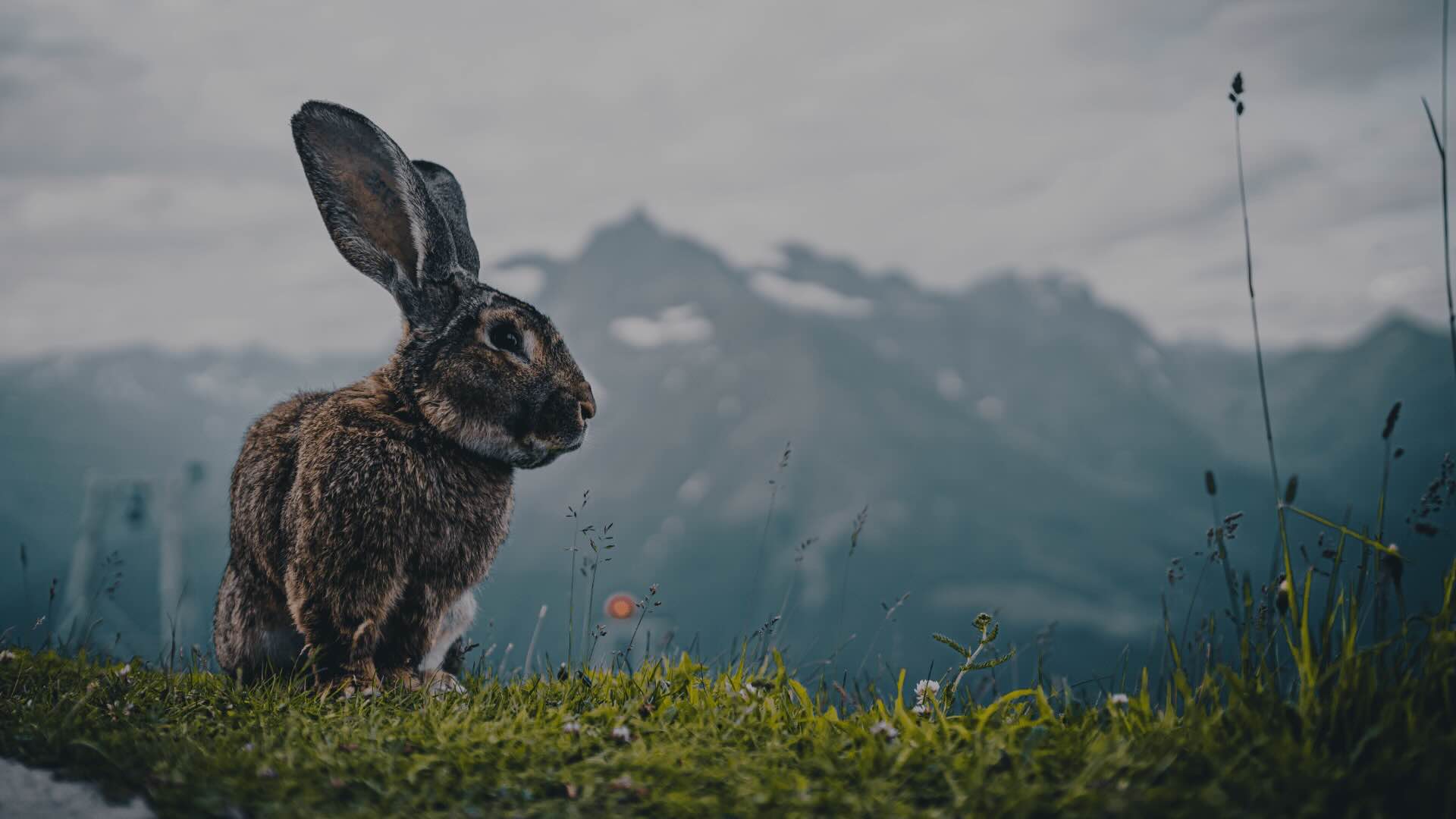 (Foto: AdobeStock/Ivan)