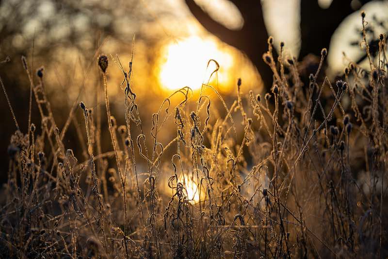 Trockenheit setzt der Natur zu. (Bild: AdobeStock/Florian Schmelcher/Wirestock Creators)