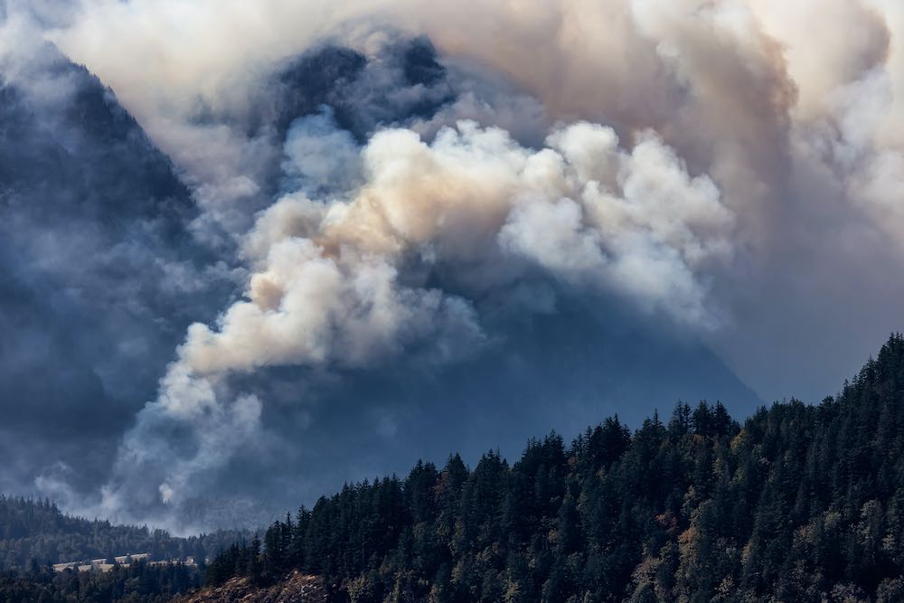 Symptome des Klimawandels: In diesem Jahr kam es zu heftigen Waldbränden in  Kanada.(Foto: AdobeStock/edb3_16)
