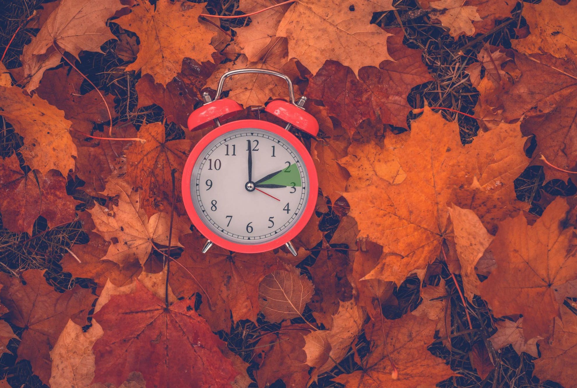 Eine Uhr im Blätterhaufen. (Foto: fotolia/detailblick-foto)