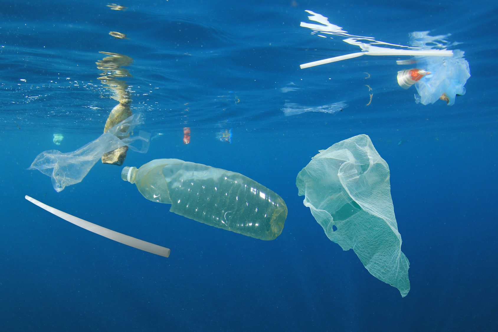 Die Weltmeere sind voll mit Plastikmüll. (Foto: Fotolia/Richard Carey)
