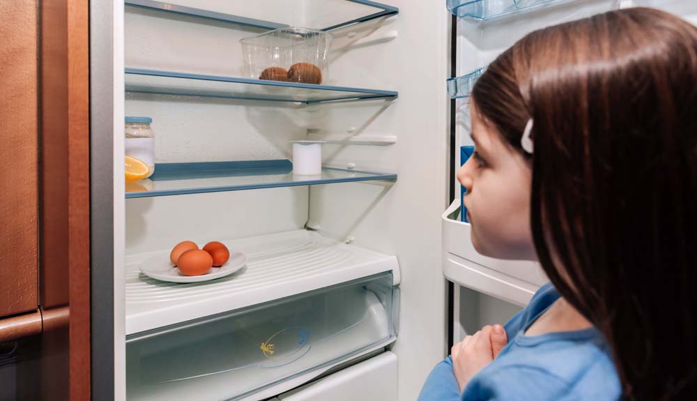 In manchen deutschen Haushalten ist der Kühlschrank leer. (Foto: AdobeStock/David Pereiras)