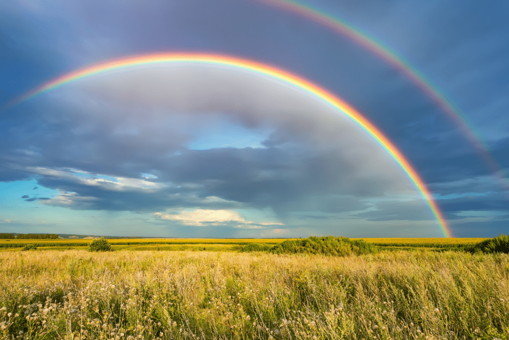 Während der Fußball-EM wird über die Regenbogenfarven und das Thema Gleichberechtigung diskutiert. (Foto: AdobeStock/sborisov)