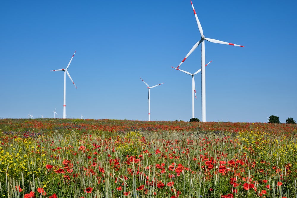 Windkraftanlagen auf einem Feld. (Foto: AdobeStock/ elxeneize)