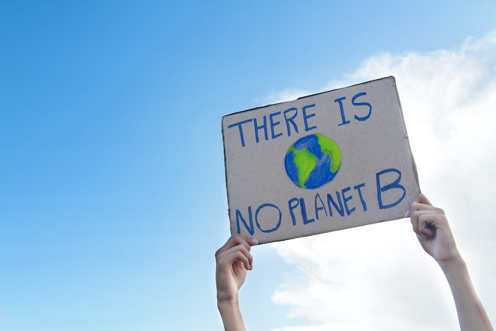 Klimaaktivisten ziehen meist mit Plakaten durch die Straße – diesmal reichten bloße Sprüche nicht aus. (Foto: AdobeStock/piyaset)