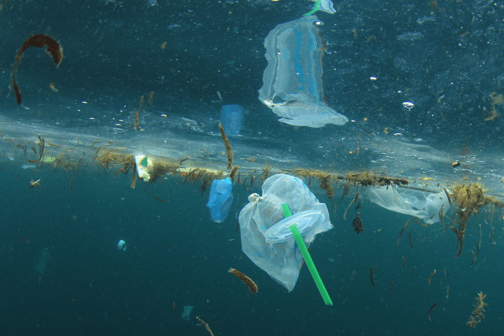 Plastikmüll gefährdet unsere Ozeane (Foto: AdobeStock/Richard Carey).