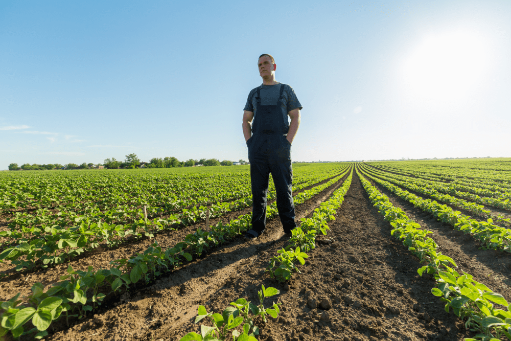 Stehen gehörig unter Druck: Landwirtinnen und Landwirte (Foto: AdobeStock/oticki).