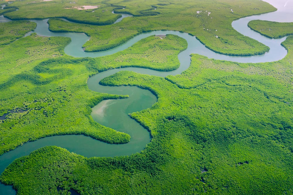 Der Amazonas-Regenwald hat eine wichtige Funktion im internationalen Kampf gegen den Klimawandel. (Foto: AdobeStock/Curioso.Photography)