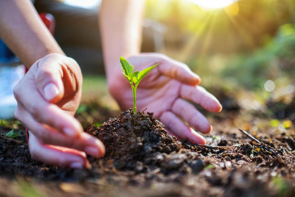 Ab sofort gehört die Schweiz in Europa zu den Ländern mit einem fixen Klimaziel. Zunächst einmal soll alles mit milliardenschweren Förderungen funktionieren. (Foto: AdobeStock/Pasko Maksim)