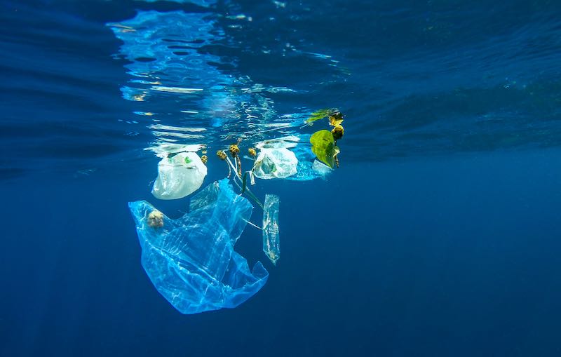 Und hier landet unser Müll: Plastik im Meer wird zum globalen Problem (Foto: AdobeStock/aryfahmed )