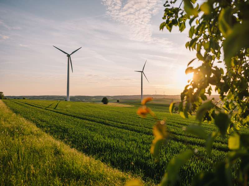 Grüner Strom: ein Weg für Firmen, nachhaltiger zu werden. (AdobeStock/Marc Wiegelmann)